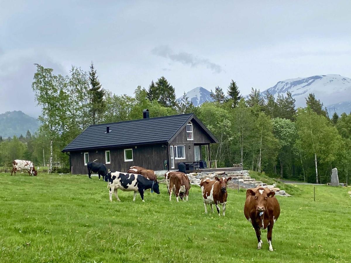 Heinali Hytta Villa Isfjorden Buitenkant foto